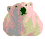 logo_ours.gif (3558 octets)